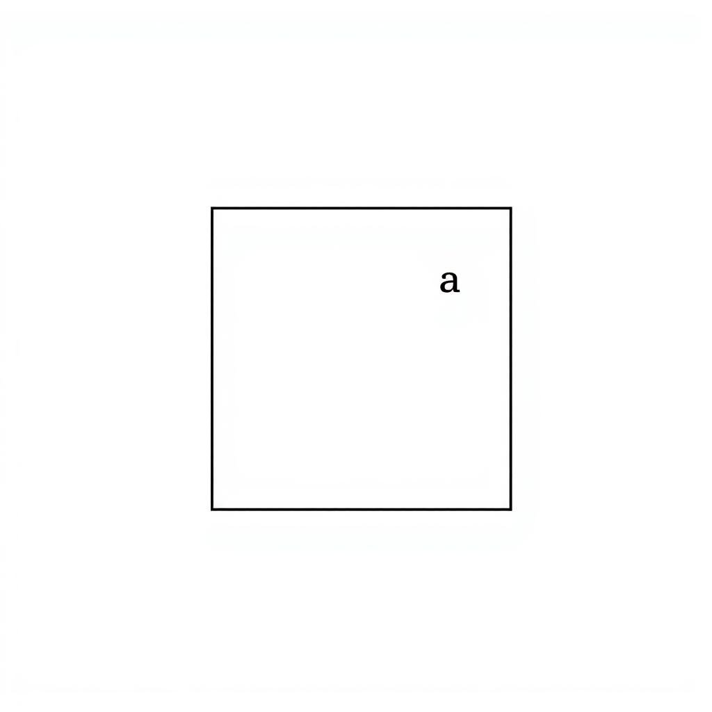 Square with labeled side length for area calculation